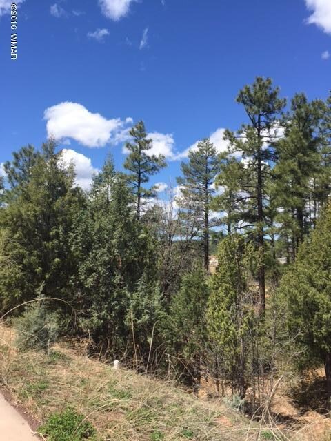 4650 S Manzanita Way, Show Low, AZ 85901 - photo 6