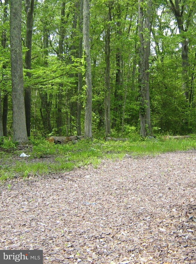 8 Latane Dr, Colonial Beach, VA 22443 - photo 2