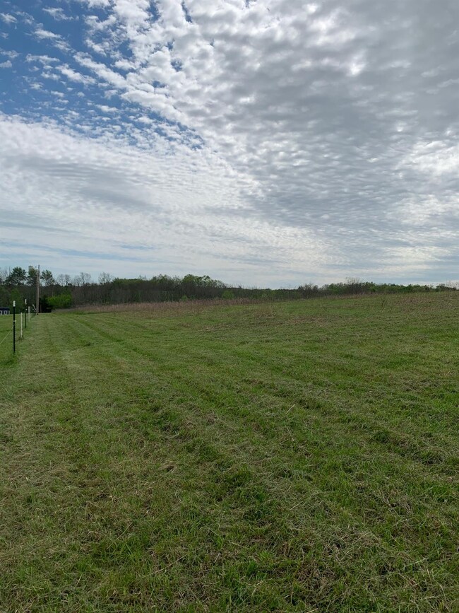 1618 Cummins Ferry Rd, Bondville, KY 40372 - photo 5