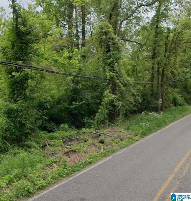 539 Crumly Chapel Rd, Birmingham, AL 35214 - photo 4