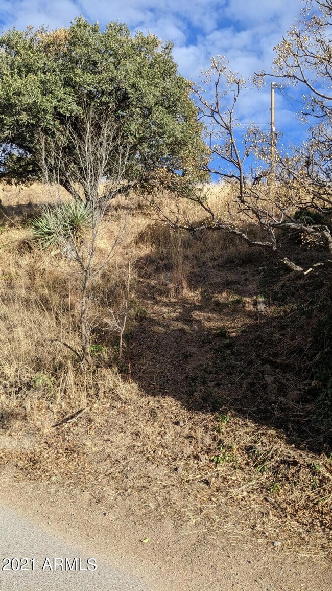 TBD Locklin Ave unit 43, Bisbee, AZ 85603 - photo 2