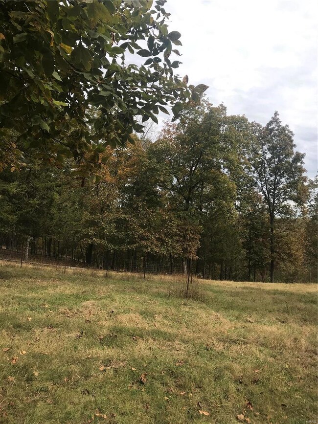 11555 County Road 7310, Newburg, MO 65550 - photo 2