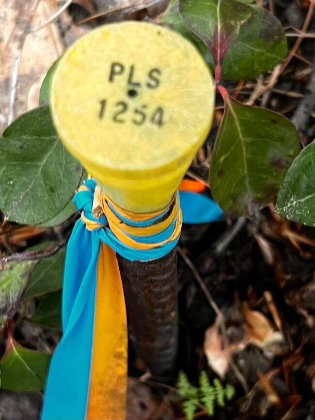 PLS 1254 Survey pins Pond Rd 7.04 ac