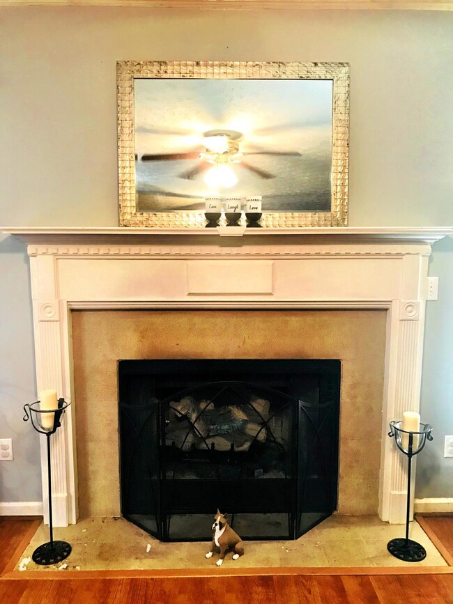 7519 Mcdaniel Ln, Ooltewah, TN 37363 - photo 7