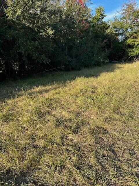 3113 Palmetto Blvd, Edisto Island, SC 29438 - photo 7