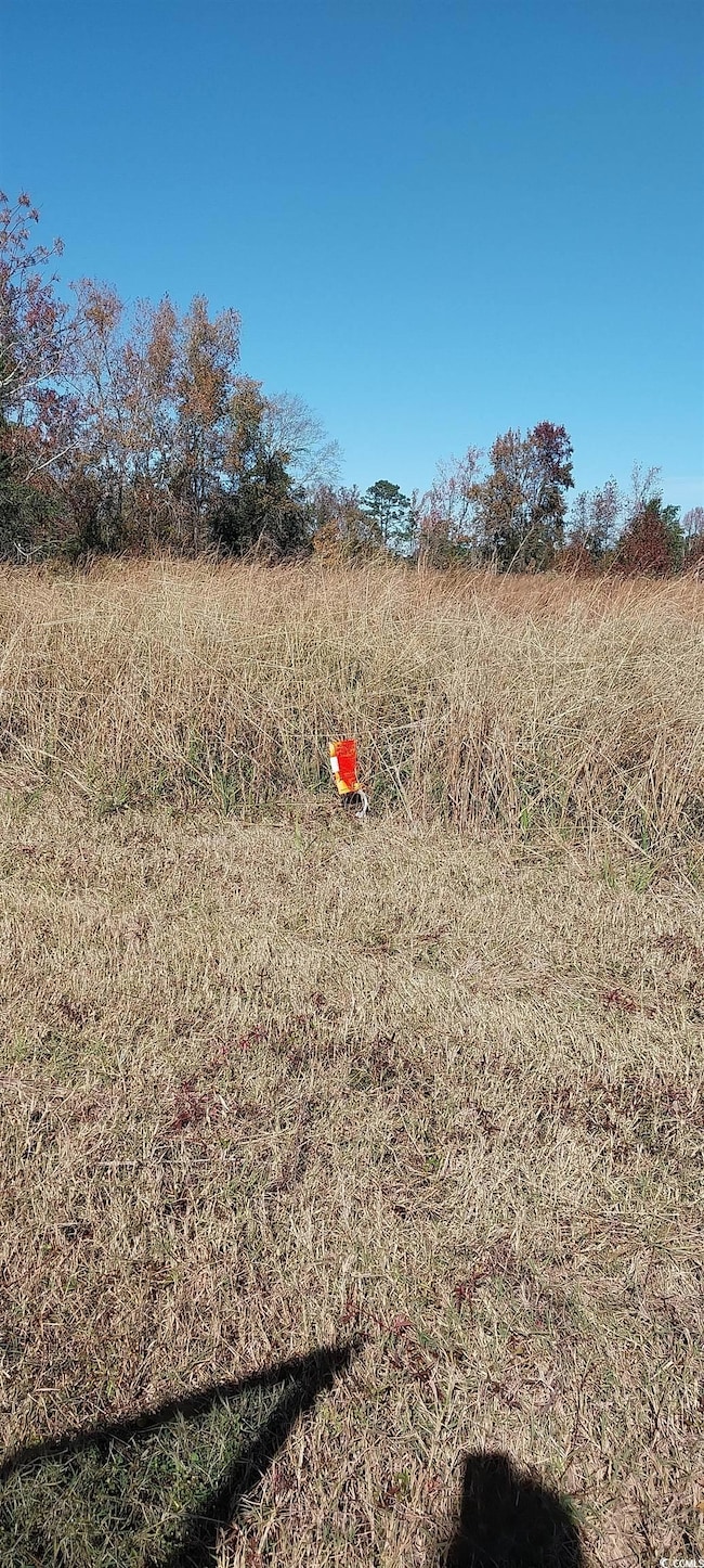 0 Millers Rd, Mullins, SC 29574 - photo 6