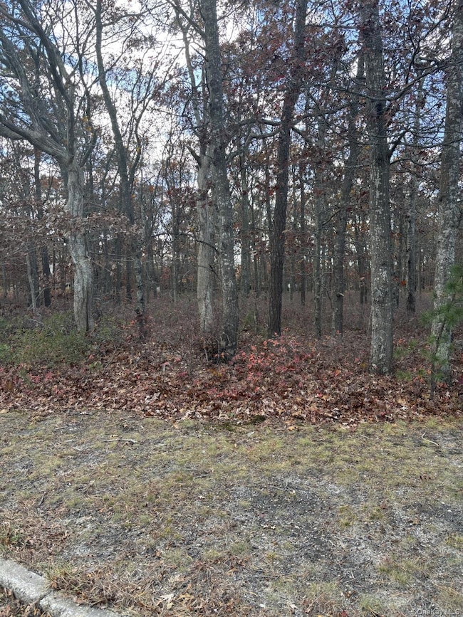 267 and 273 W Montauk Hwy, Hampton Bays, NY 11946 - photo 2