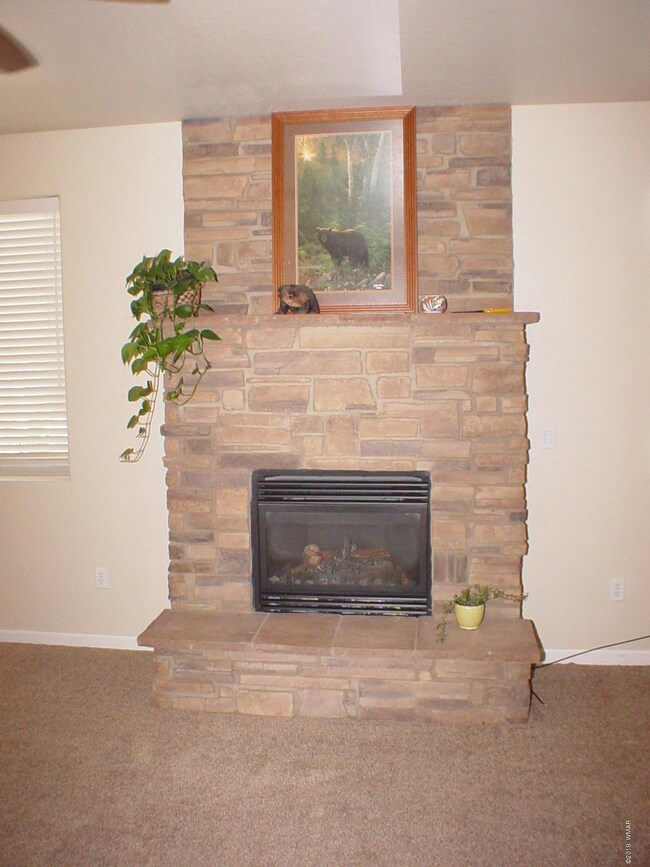 Fireplace Closeup