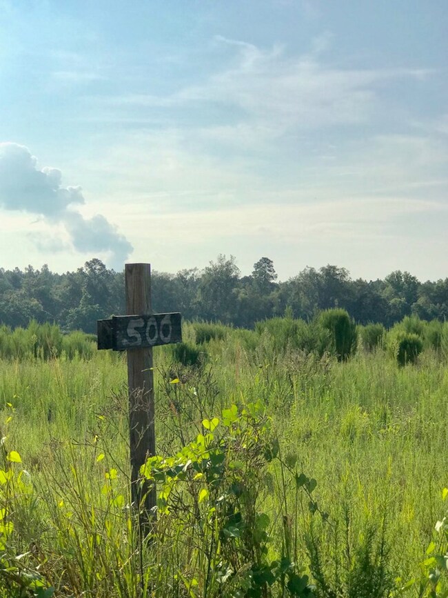 Tract5-6 Mosley Rd, Uvalda, GA 30473 - photo 3