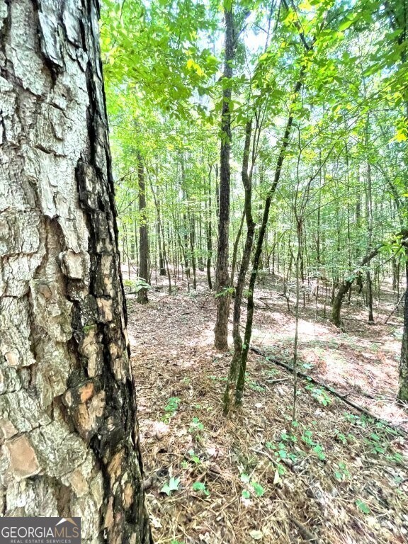 0 Georgia 22, Rayle, GA 30660 - photo 6