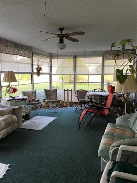 Florida Room