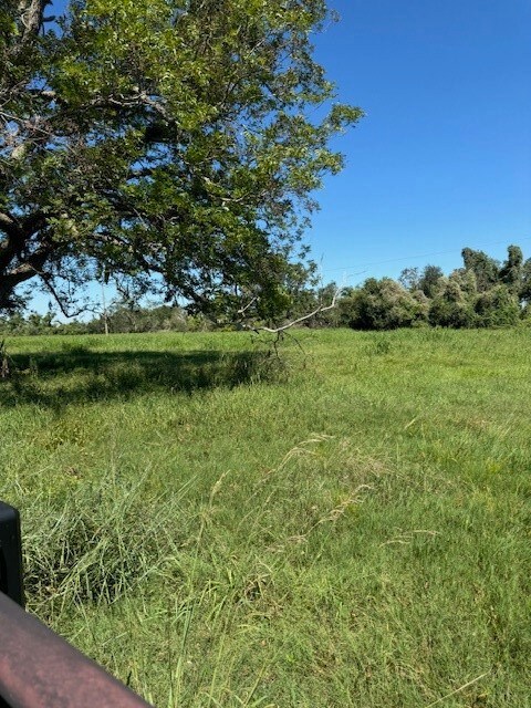 8208 County Road 400, Brazoria, TX 77422 - photo 2