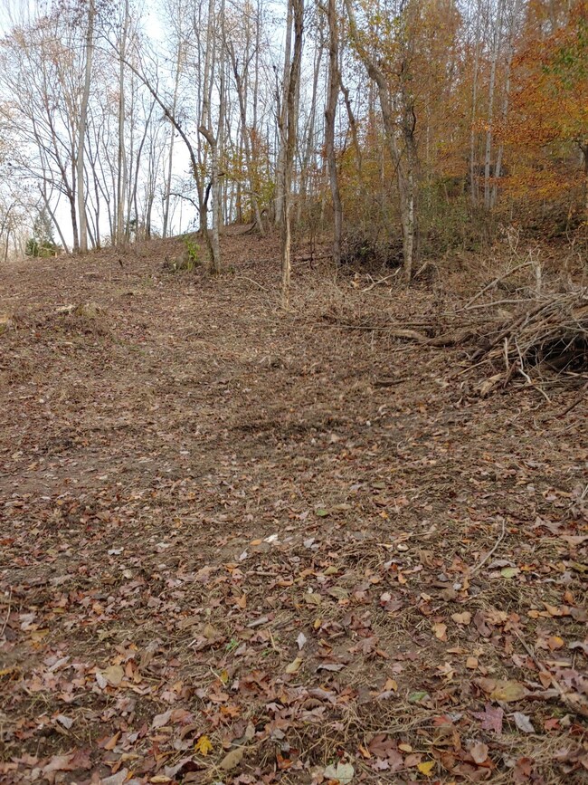 1299 Black Rd, Prospect, TN 38477 - photo 3