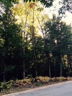 0 Burnham Rd unit 1240721, Bridgton, ME 04009 - photo 3