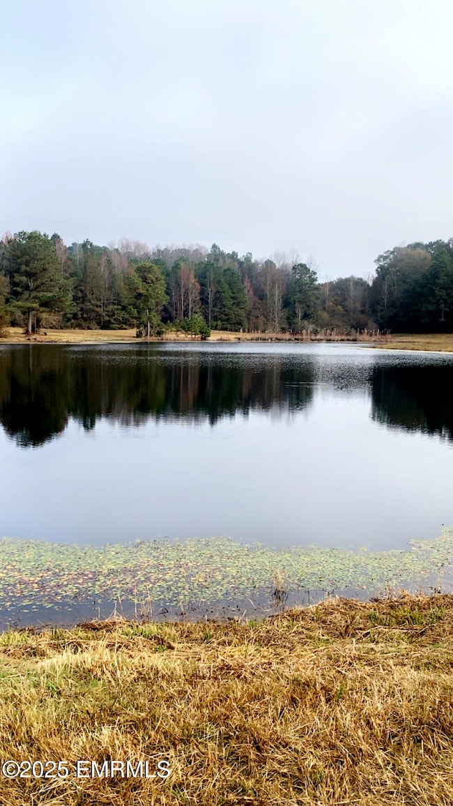 6464 Newton Conehatta Rd, Decatur, MS 39327 - photo 6