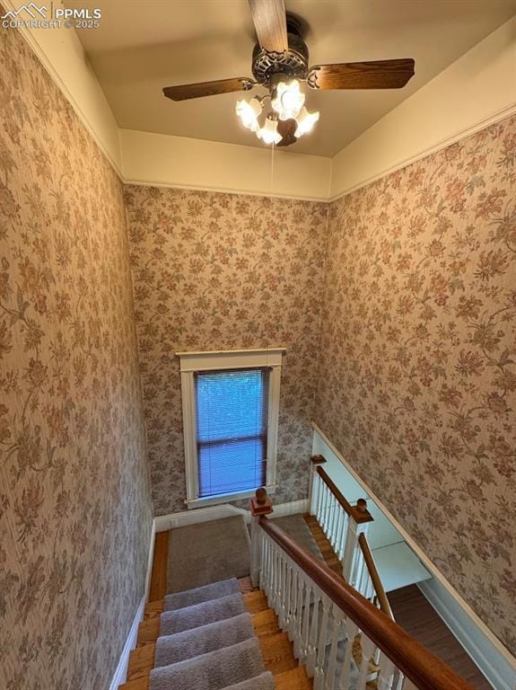 Staircase with ceiling fan and wood finished floors