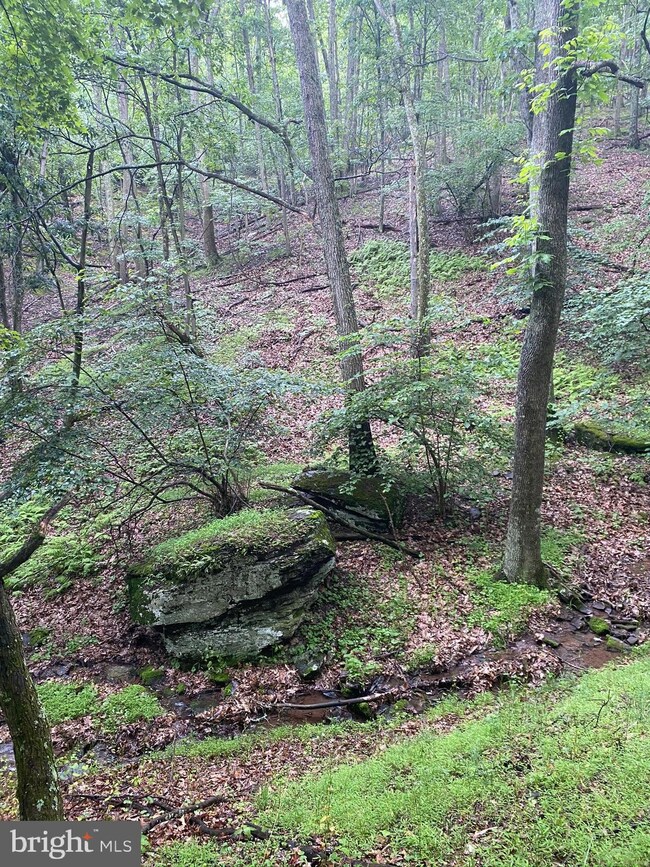 Lot 69 Helmick Rock Run, Lost River, WV 26812 - photo 6