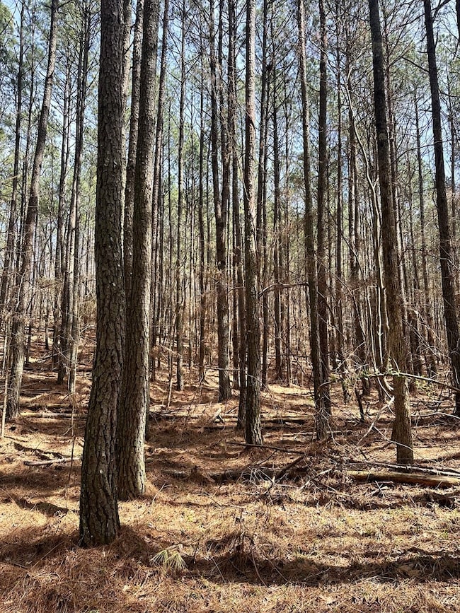 0 Autry Rd SW unit 414481, Plainville, GA 30733 - photo 5