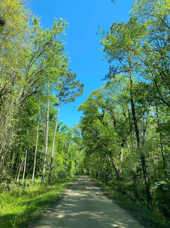 Lot 10 Noles Ln, Crawfordville, FL 32327 - photo 2