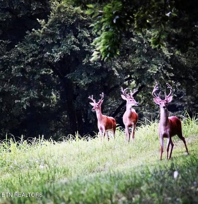 480435130_10235241552490360_576045481615