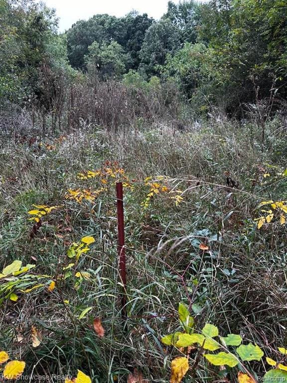 0000 Spicer Rd, Brighton, MI 48116 - photo 7