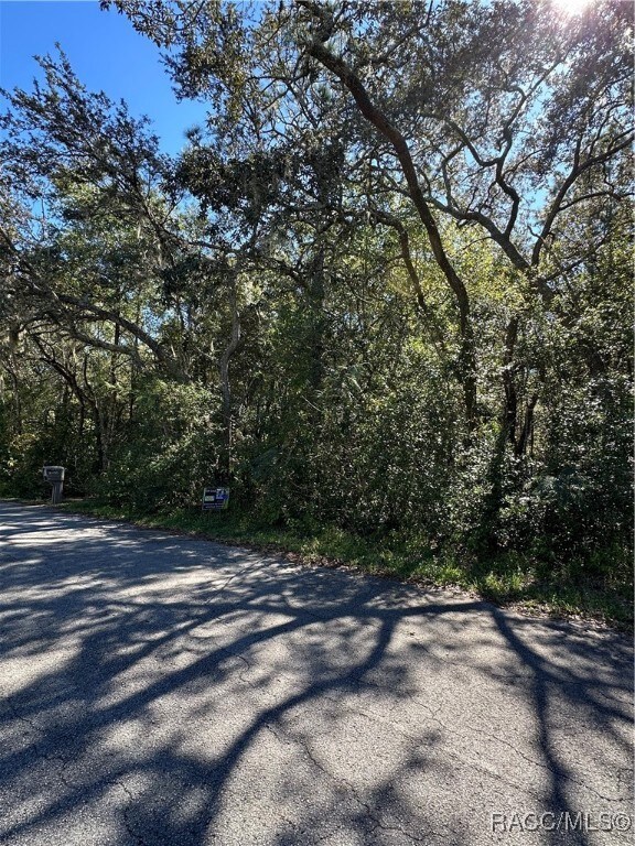 3076 E Lloyd St, Inverness Highlands North, FL 34453 - photo 4