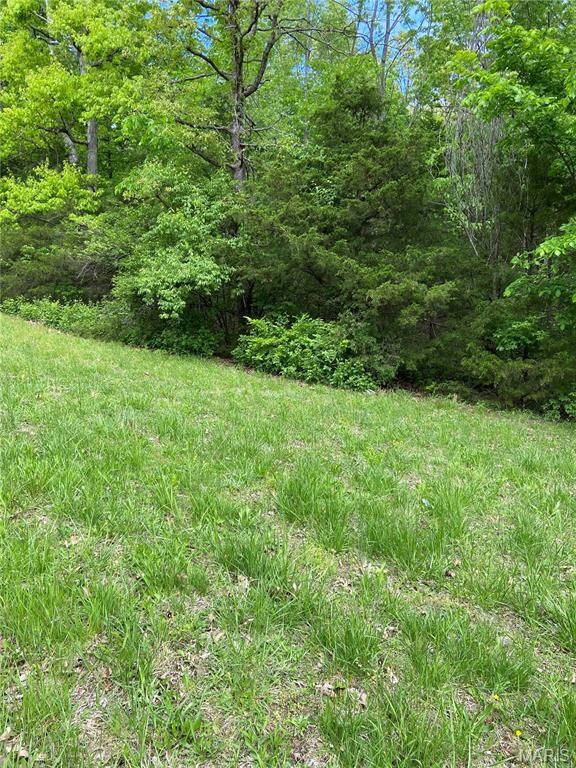 000 Oakdale Cir, Benton Township, MO 65453 - photo 4