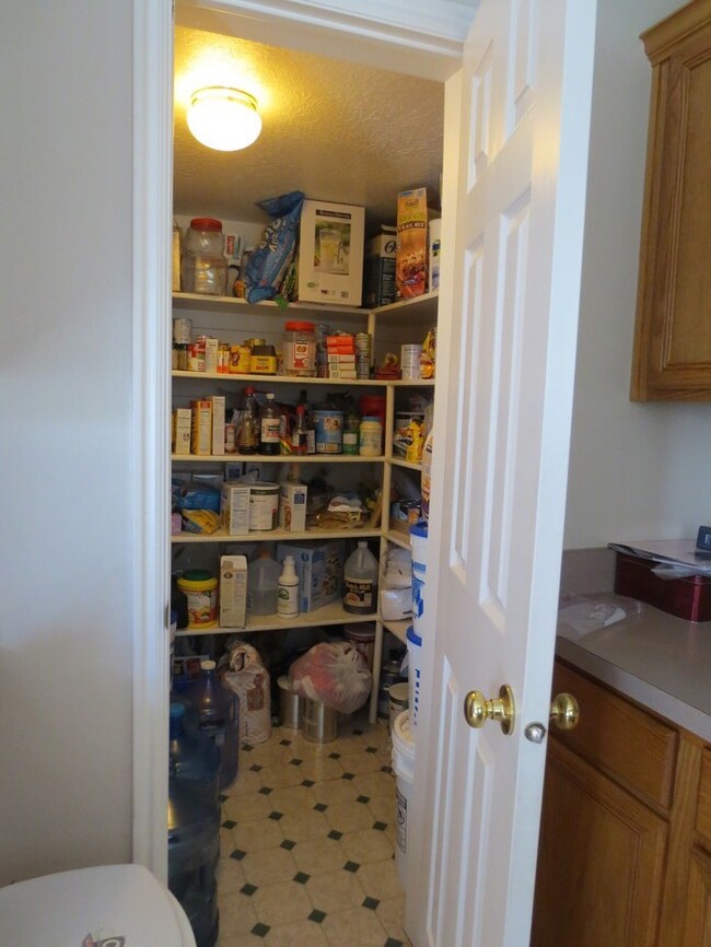 1043 N 1250 W, Pleasant Grove, UT 84062 - photo 4