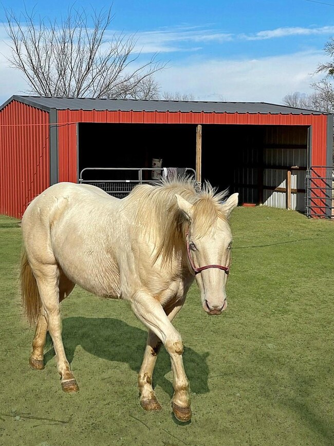 55 Quarter Mile Rd, Denison, TX 75020 - photo 7