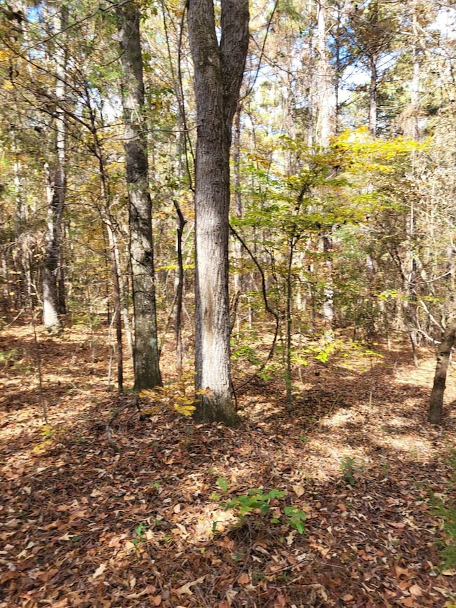 0 Bullocks Ferry Rd unit 21222623, Alpine, AL 35014 - photo 6