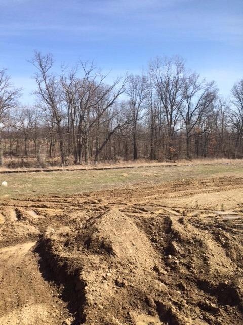 5868 Tyler Ct, Dexter, MI 48130 - photo 3