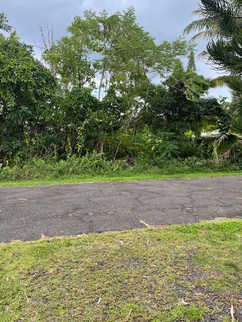 0 Ho'Eunalu St unit 715685, Pahoa, HI 96778 - photo 4