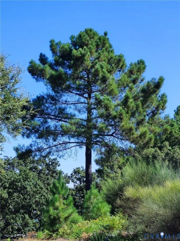 unlisted-address, Caroline, VA 22546 - photo 2