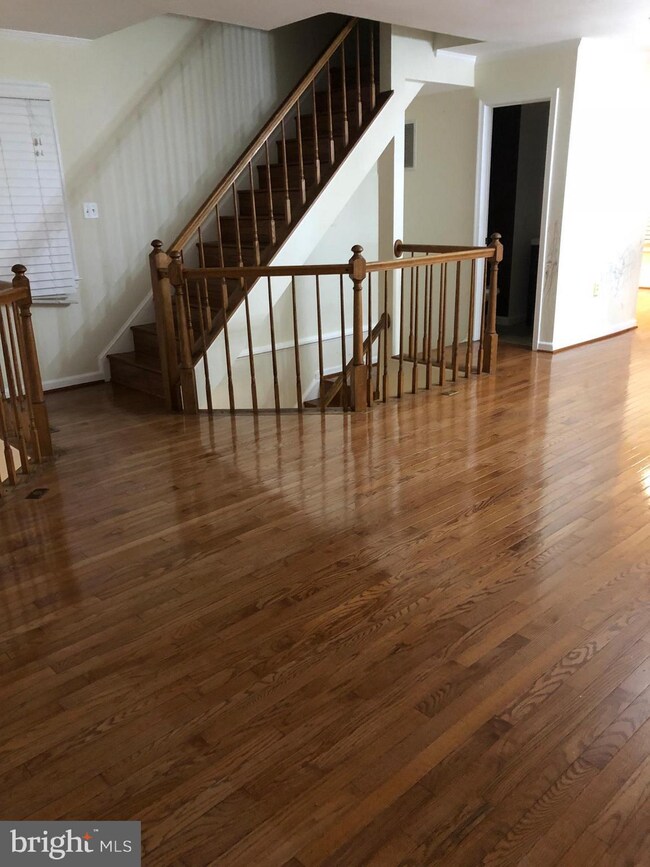 13922 Ludington Place, Centreville, VA 20121 - photo 3