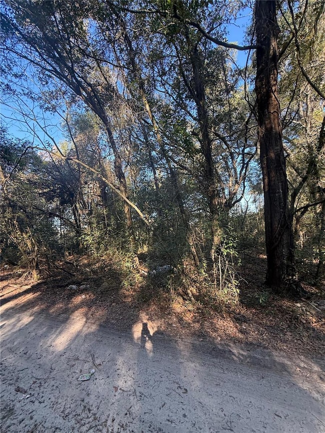 SW 148TH CT 32 Nd Place, Ocala, FL 34481 - photo 2