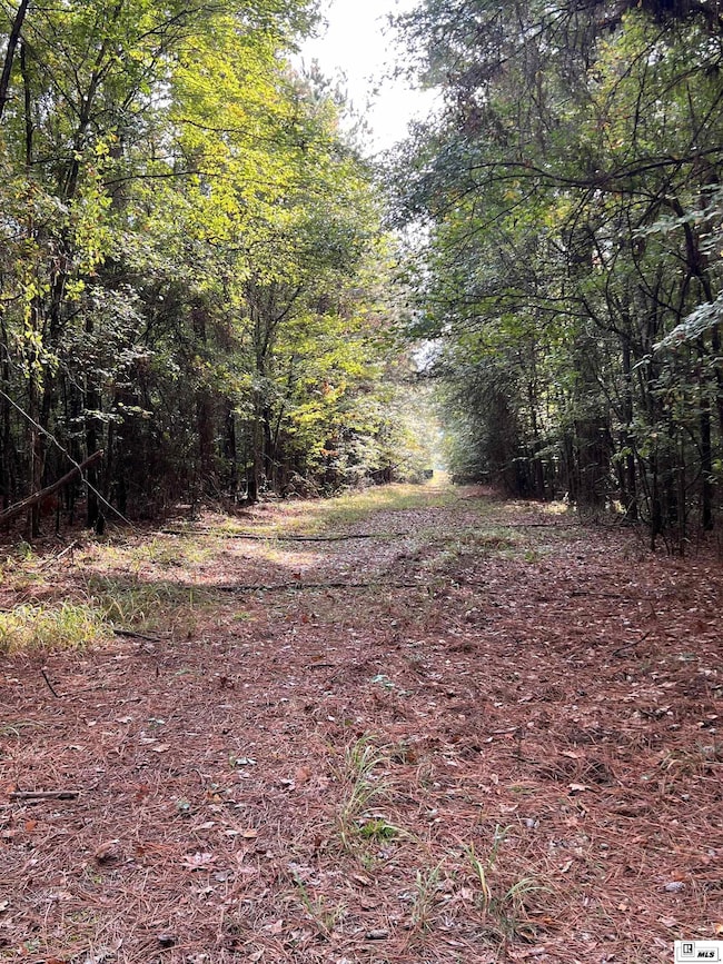 00 Highway 552, Downsville, LA 71234 - photo 4