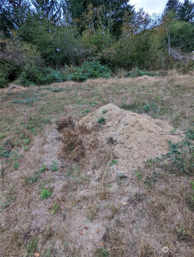 290 State Rt 6, Raymond, WA 98577 - photo 6