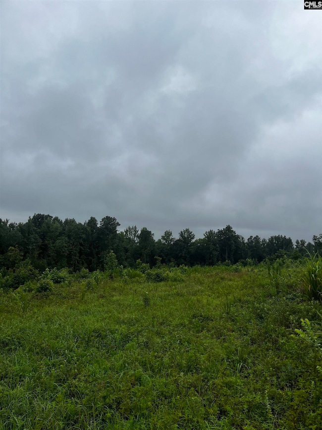 703 Neds Creek Rd, Kershaw, SC 29067 - photo 2