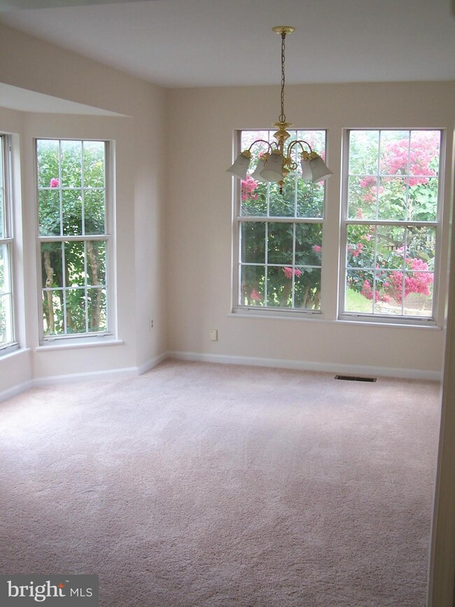 16919 Cass Brook Ln, Woodbridge, VA 22191 - photo 5