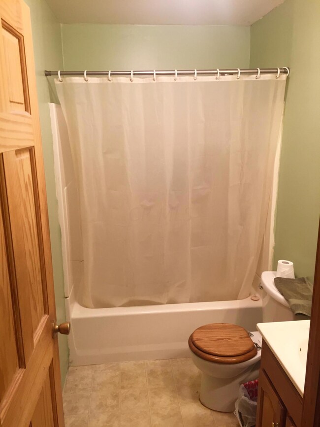 main bath2
