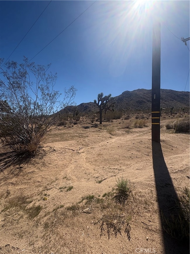 0 Melton Trail unit JT25242563, Joshua Tree, CA 92252 - photo 6