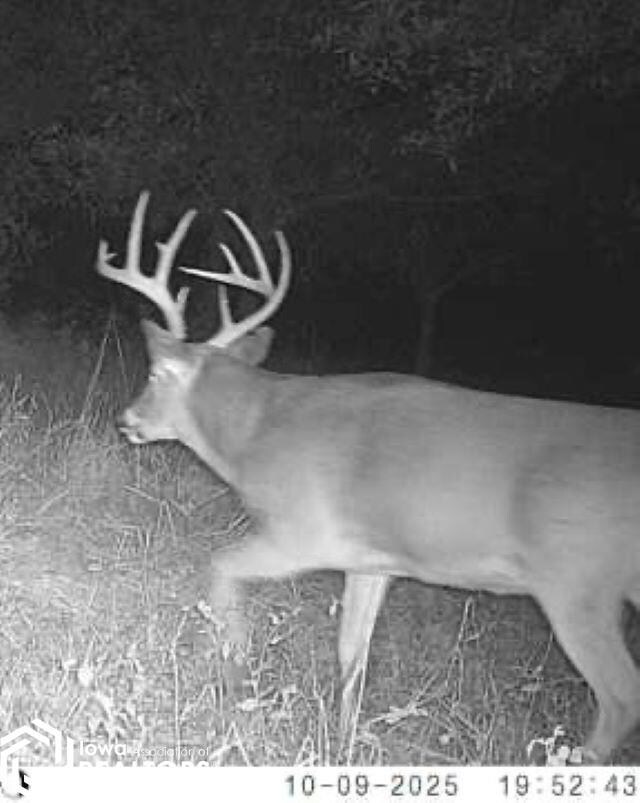 1701 N 14th St, Centerville, IA 52544 - photo 5