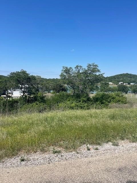 637 Hidden Shores unit Lot 39, Cisco, TX 76437 - photo 4