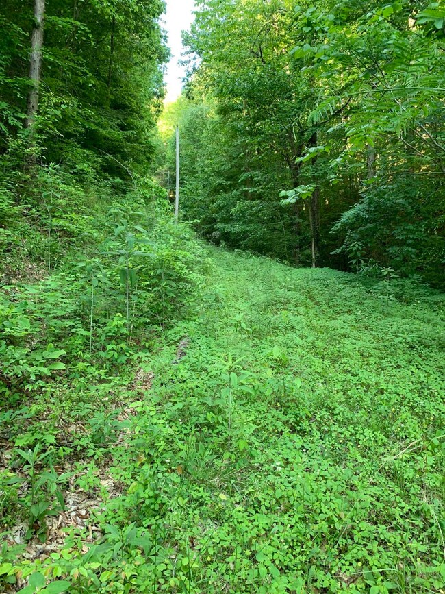 E871AE6A-DC83-42AD-8673-7A22409BA608