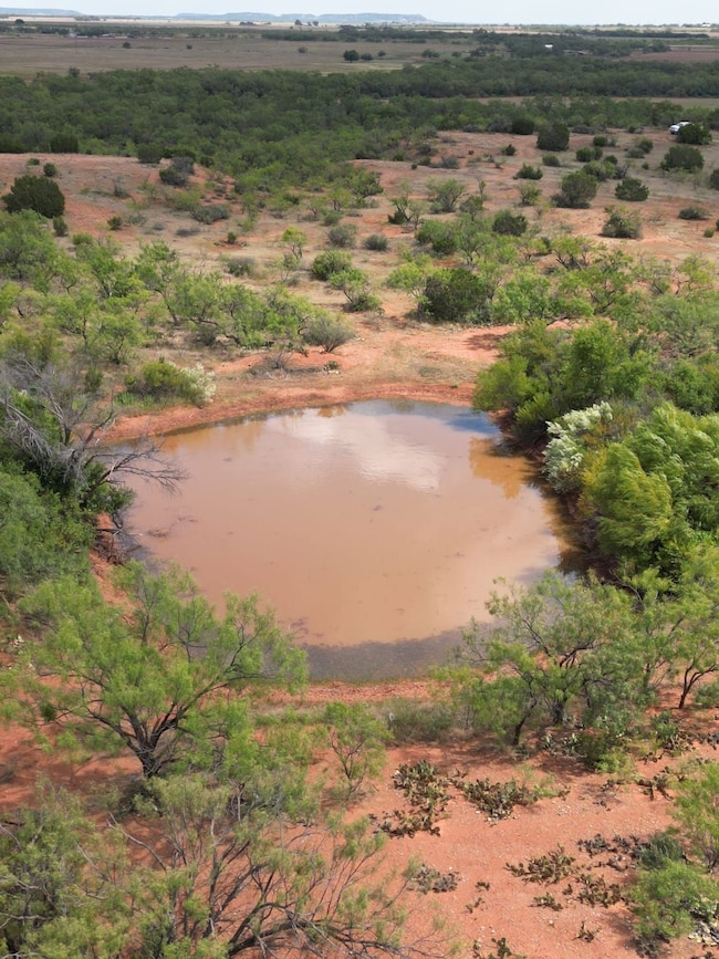 Tbd Fm 1086, Winters, TX 79567 - photo 4