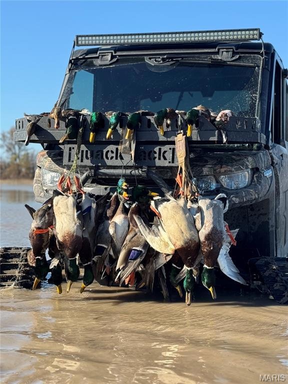 0 Highway P unit MIS25062383, New Madrid, MO 63869 - photo 2