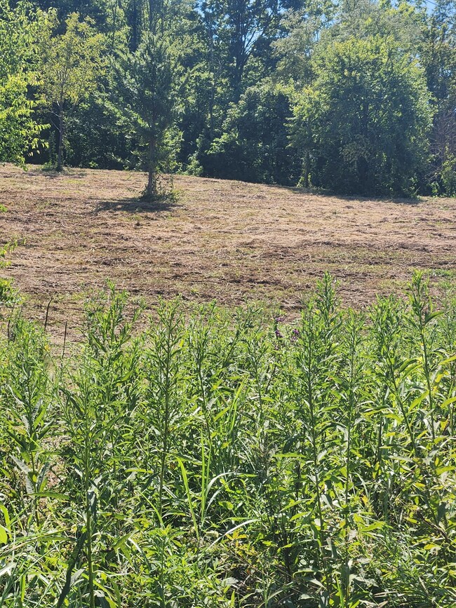 0 Hix Rd unit RTC2964419, Gordonsville, TN 38563 - photo 2