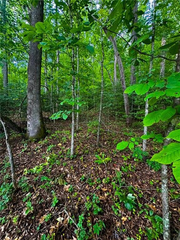 0 Camp Wahsega Rd unit 7600956, Dahlonega, GA 30533 - photo 3