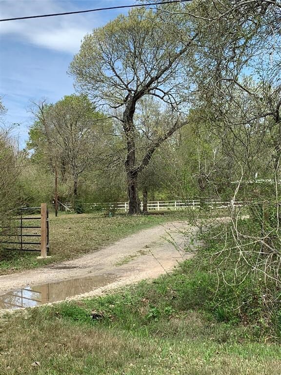 431 Melton St, Magnolia, TX 77354 - photo 3