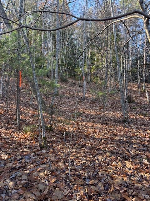 M 6, L 32 Main St, Wayne, ME 04284 - photo 5